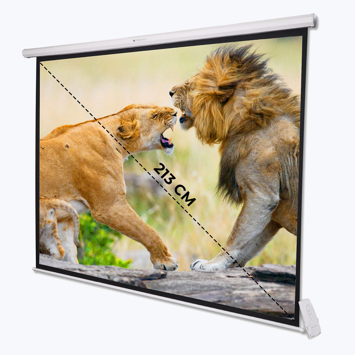 Zebronics - Zeb PSM84A - Projector Screen 