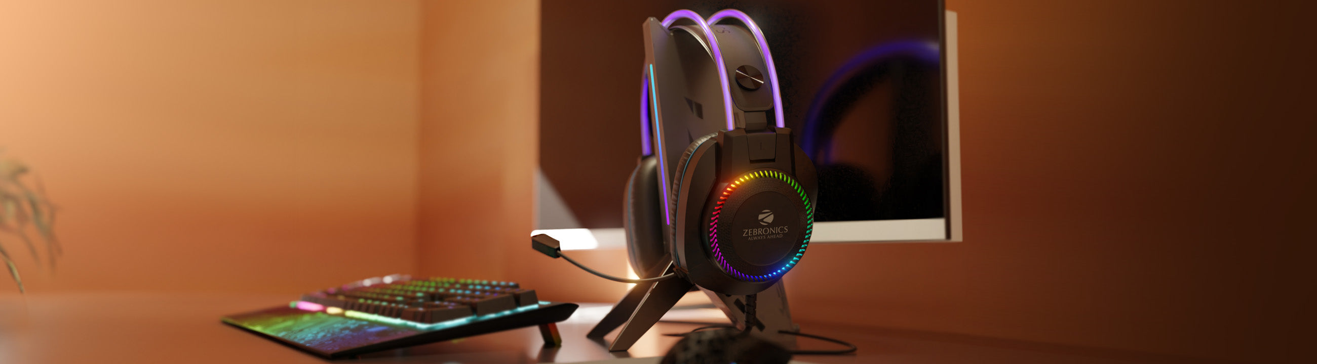 Wired Headphones
